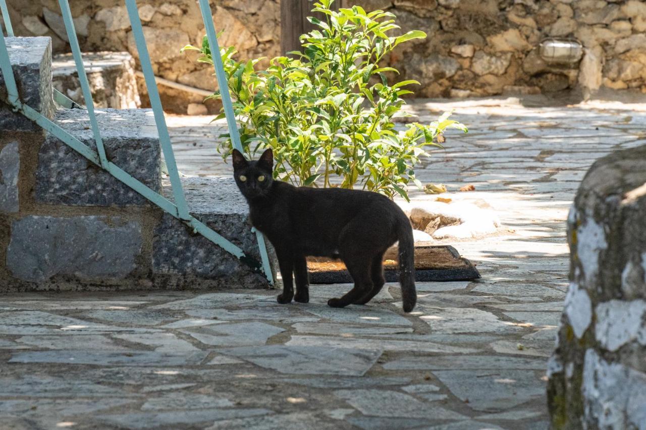 Tranquil Stone Garden House Βίλα Kalos Εξωτερικό φωτογραφία